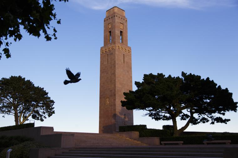 The monument is a rectangular rose colored granite shaft rising 145 feet above the lower terrace and 100 feet above the Cours Dajot. 